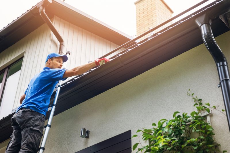 Gutter Cleaning & Repair